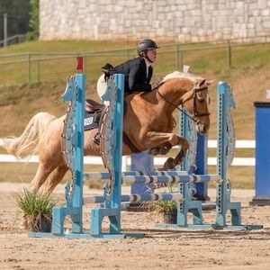 Meet your Posher, Ally